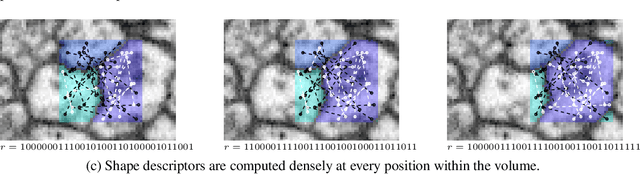 Figure 2 for Combinatorial Energy Learning for Image Segmentation