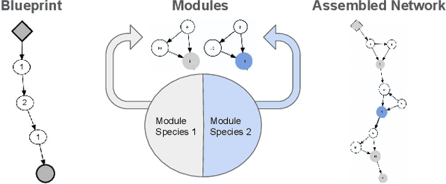 Figure 3 for Evolutionary Architecture Search For Deep Multitask Networks