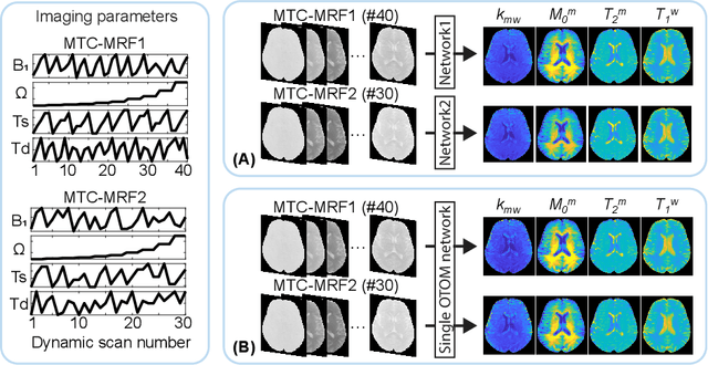 Figure 1 for Only-Train-Once MR Fingerprinting for Magnetization Transfer Contrast Quantification