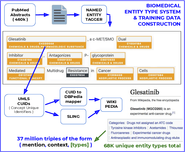 Figure 3 for Biomedical Interpretable Entity Representations