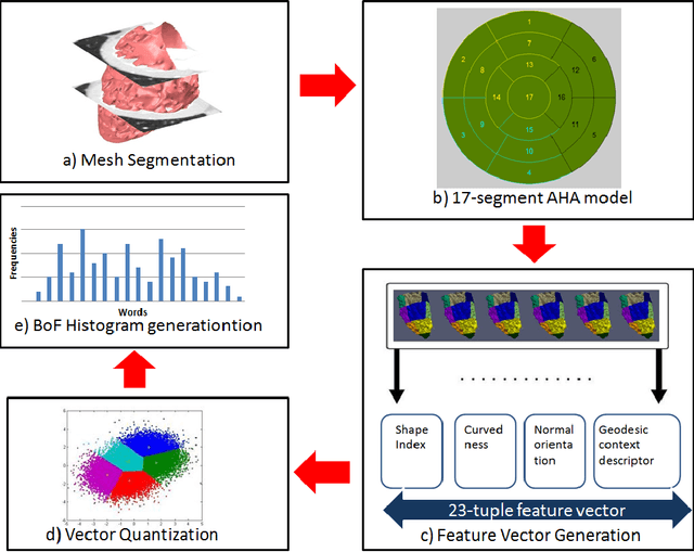 Figure 3 for Morphological Analusis Of The Left Ventricular Eendocardial Surface Using A Bag-Of-Features Descriptor