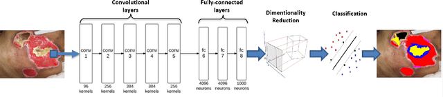 Figure 1 for Fine-grained wound tissue analysis using deep neural network