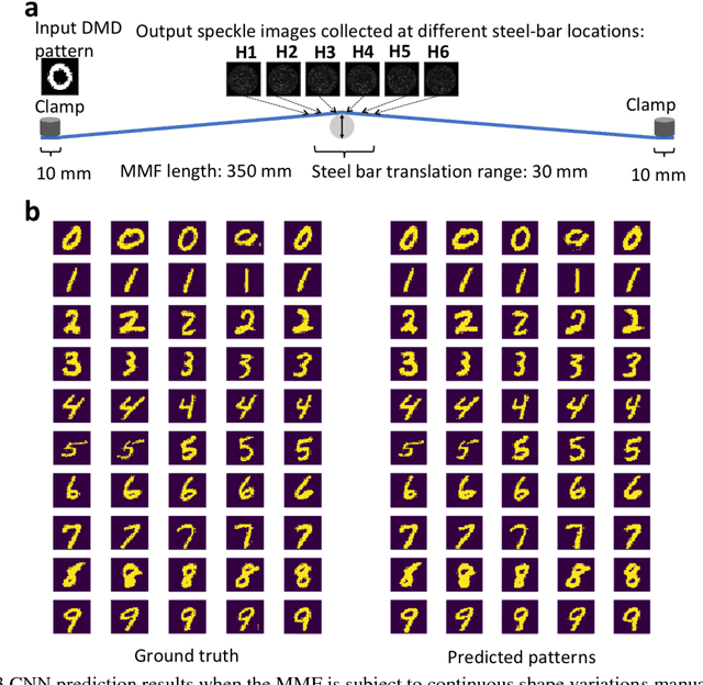 Figure 3 for Deep learning the high variability and randomness inside multimode fibres
