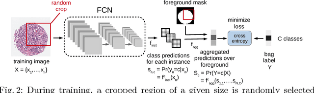 Figure 3 for Multiple Instance Learning for Heterogeneous Images: Training a CNN for Histopathology