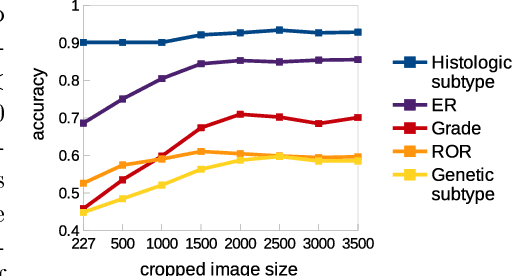 Figure 4 for Multiple Instance Learning for Heterogeneous Images: Training a CNN for Histopathology