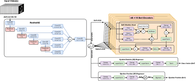 Figure 1 for Ultrasound Video Transformers for Cardiac Ejection Fraction Estimation