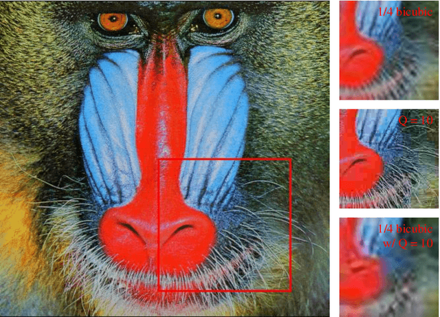Figure 1 for HST: Hierarchical Swin Transformer for Compressed Image Super-resolution