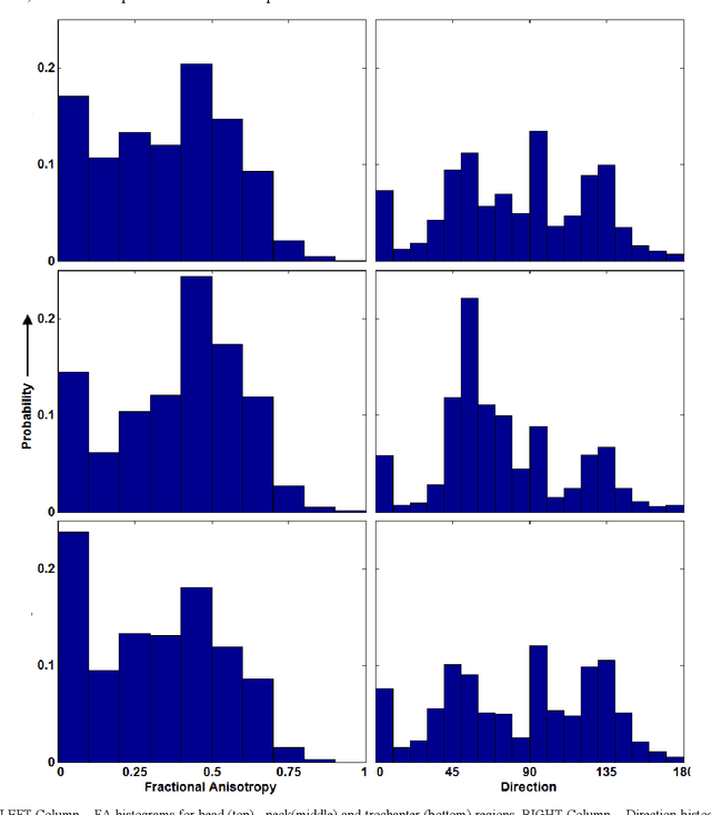 Figure 3 for Introducing Anisotropic Minkowski Functionals and Quantitative Anisotropy Measures for Local Structure Analysis in Biomedical Imaging