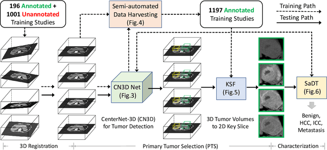 Figure 2 for Harvesting, Detecting, and Characterizing Liver Lesions from Large-scale Multi-phase CT Data via Deep Dynamic Texture Learning