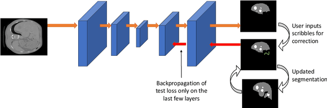 Figure 2 for Efficient and Generic Interactive Segmentation Framework to Correct Mispredictions during Clinical Evaluation of Medical Images