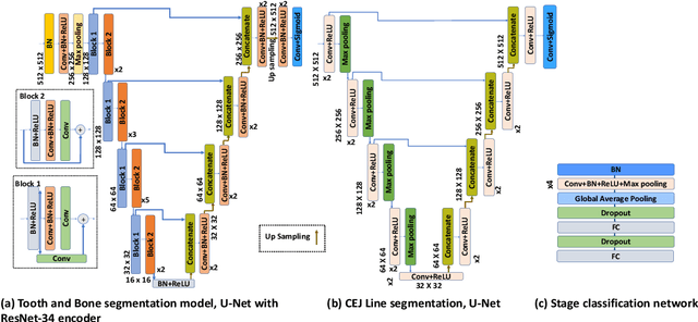 Figure 2 for An End-to-end Entangled Segmentation and Classification Convolutional Neural Network for Periodontitis Stage Grading from Periapical Radiographic Images