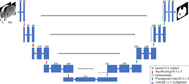 Figure 1 for Automatic Segmentation of Muscle Tissue and Inter-muscular Fat in Thigh and Calf MRI Images