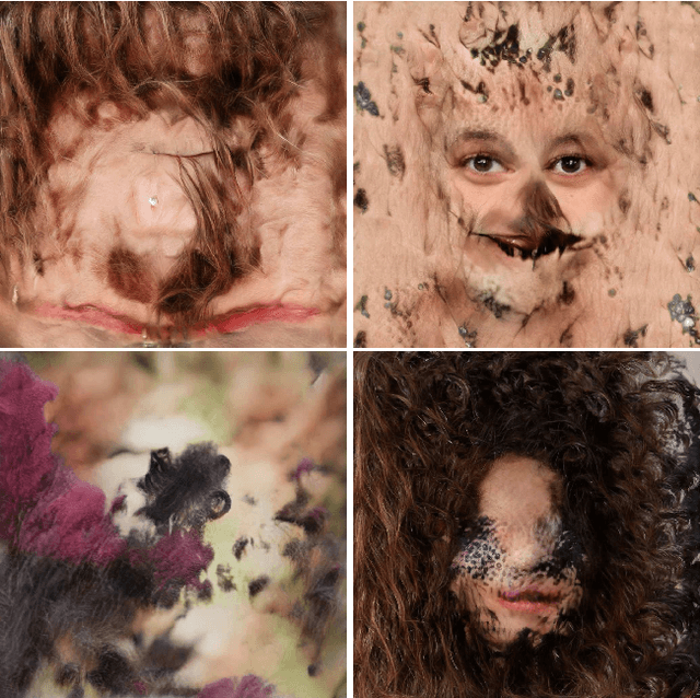 Figure 4 for Network Bending: Manipulating The Inner Representations of Deep Generative Models