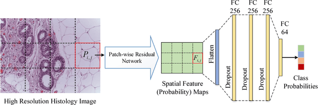 Figure 1 for Improving High Resolution Histology Image Classification with Deep Spatial Fusion Network
