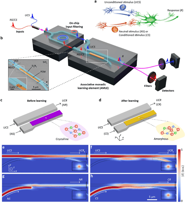 Figure 1 for Monadic Pavlovian associative learning in a backpropagation-free photonic network