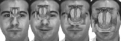 Figure 3 for Robust Locality-Aware Regression for Labeled Data Classification