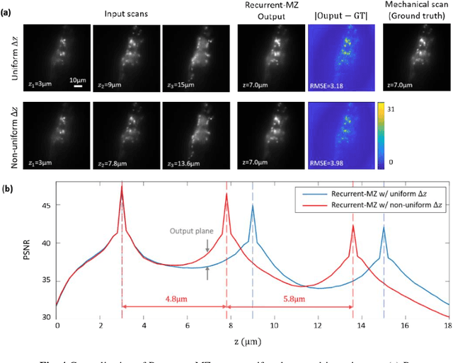 Figure 4 for Recurrent neural network-based volumetric fluorescence microscopy