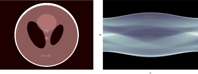Figure 1 for The LoDoPaB-CT Dataset: A Benchmark Dataset for Low-Dose CT Reconstruction Methods