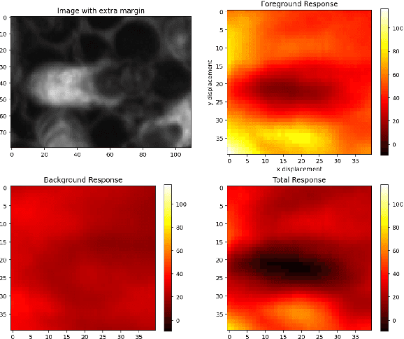 Figure 1 for Probabilistic Tracking with Deep Factors