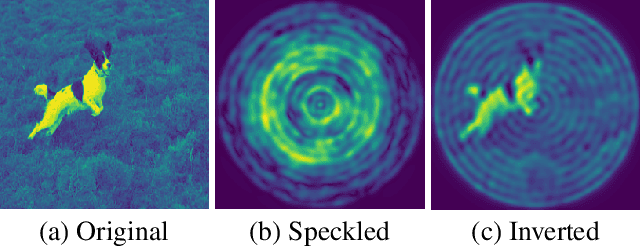 Figure 1 for Bessel Equivariant Networks for Inversion of Transmission Effects in Multi-Mode Optical Fibres
