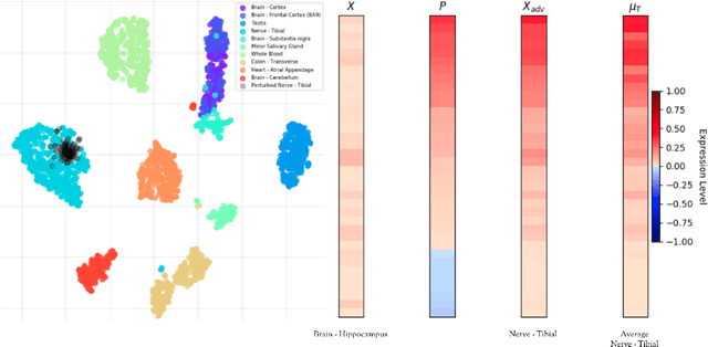 Figure 3 for Cellular State Transformations using Generative Adversarial Networks