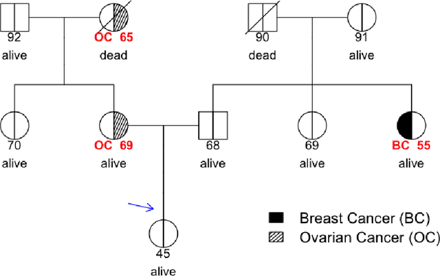 Figure 1 for Prediction of Hereditary Cancers Using Neural Networks
