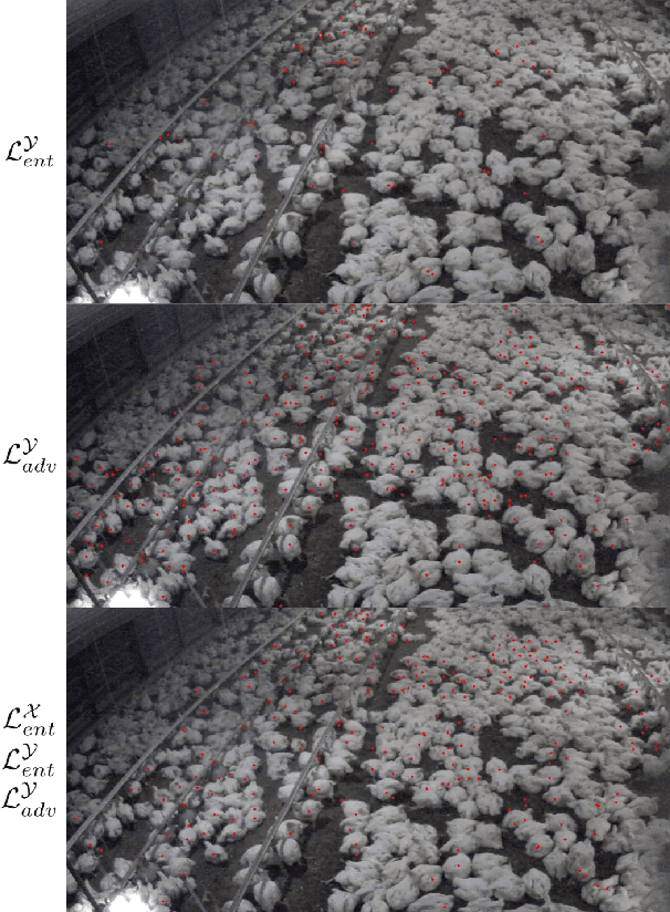 Figure 4 for Self-supervised Domain Adaptation in Crowd Counting
