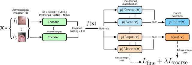 Figure 3 for Does Your Dermatology Classifier Know What It Doesn't Know? Detecting the Long-Tail of Unseen Conditions
