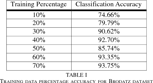 Figure 3 for A Hybrid Deep Learning Approach for Texture Analysis