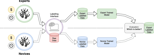 Figure 1 for Can non-specialists provide high quality gold standard labels in challenging modalities?