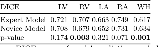 Figure 4 for Can non-specialists provide high quality gold standard labels in challenging modalities?