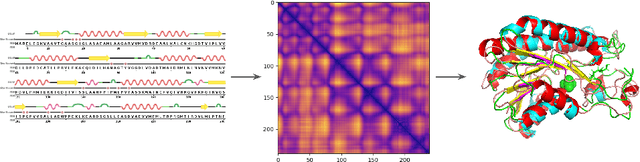 Figure 1 for Accurate Protein Structure Prediction by Embeddings and Deep Learning Representations