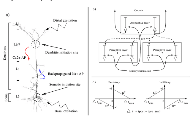 Figure 1 for Learning and discrimination through STDP in a top-down modulated associative memory