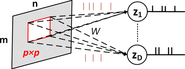 Figure 1 for Representation Learning using Event-based STDP