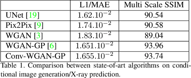 Figure 2 for Generating Synthetic X-ray Images of a Person from the Surface Geometry