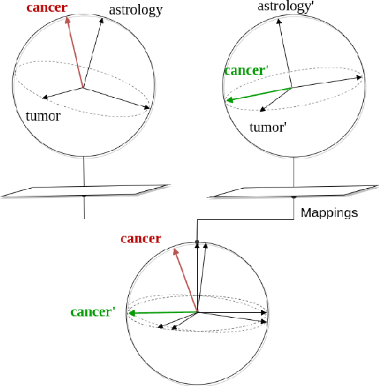 Figure 1 for Cross-topic distributional semantic representations via unsupervised mappings