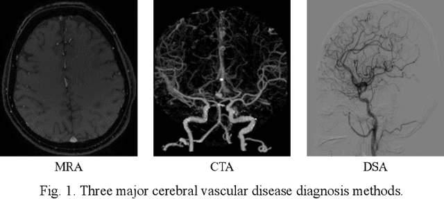 Figure 1 for Photoacoustic digital brain: numerical modelling and image reconstruction via deep learning