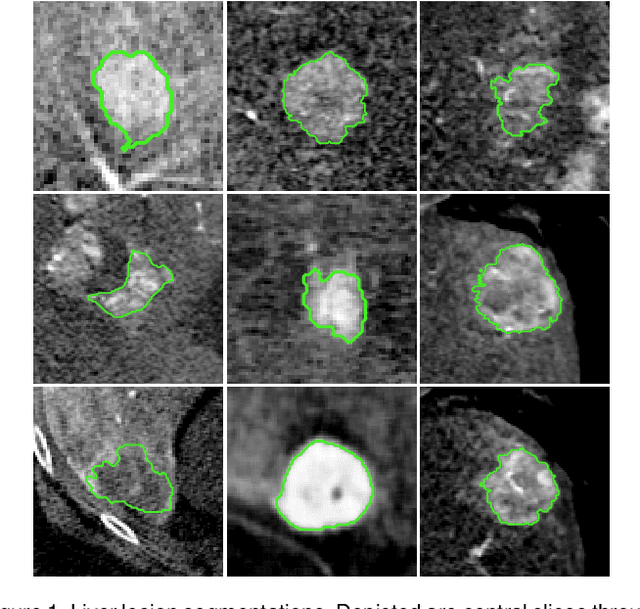Figure 2 for A Semi-Automated Usability Evaluation Framework for Interactive Image Segmentation Systems