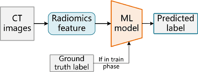 Figure 2 for A Pilot Study of Relating MYCN-Gene Amplification with Neuroblastoma-Patient CT Scans