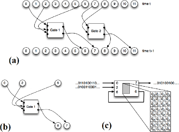 Figure 3 for Evolution leads to a diversity of motion-detection neuronal circuits