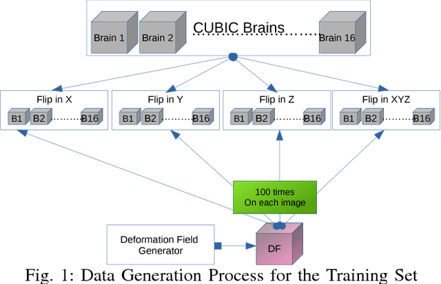Figure 1 for A Comparative Analysis of Registration Tools: Traditional vs Deep Learning Approach on High Resolution Tissue Cleared Data