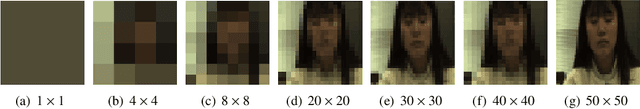 Figure 2 for Analysis of CNN-based remote-PPG to understand limitations and sensitivities