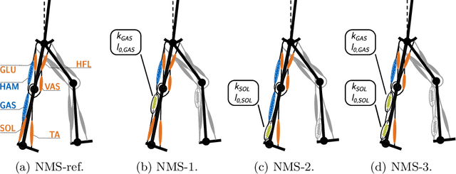 Figure 1 for Power to the springs: Passive elements are sufficient to drive push-off in human walking