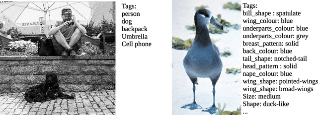 Figure 1 for FineTag: Multi-attribute Classification at Fine-grained Level in Images