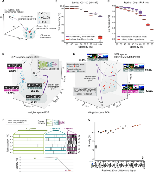 Figure 3 for Engineering flexible machine learning systems by traversing functionally invariant paths in weight space
