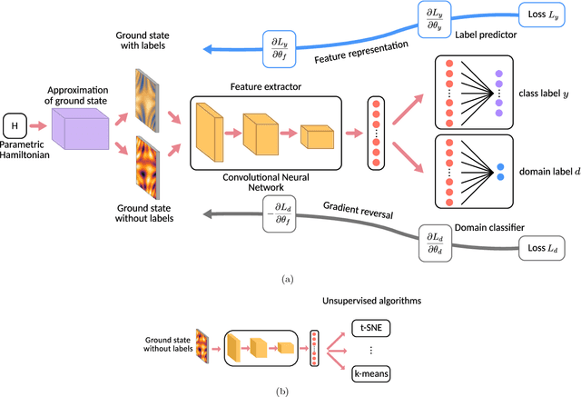 Figure 1 for Identifying Quantum Phase Transitions with Adversarial Neural Networks