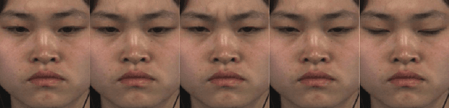 Figure 2 for Objective Classes for Micro-Facial Expression Recognition