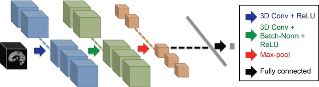 Figure 3 for Predicting brain age with deep learning from raw imaging data results in a reliable and heritable biomarker