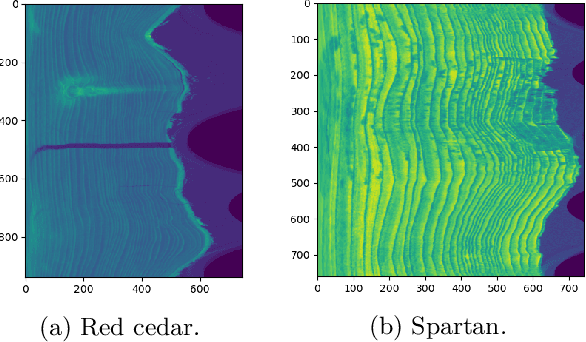 Figure 3 for Automatic Tree Ring Detection using Jacobi Sets
