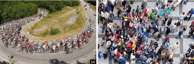 Figure 1 for Crowded Scene Analysis: A Survey
